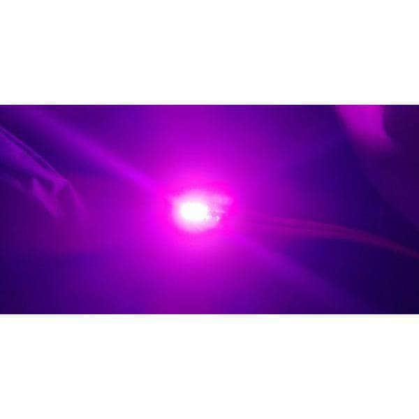 TinysLEDs Super Bright 3-6S Tiny LEDs - Choose Your Color at WREKD Co.