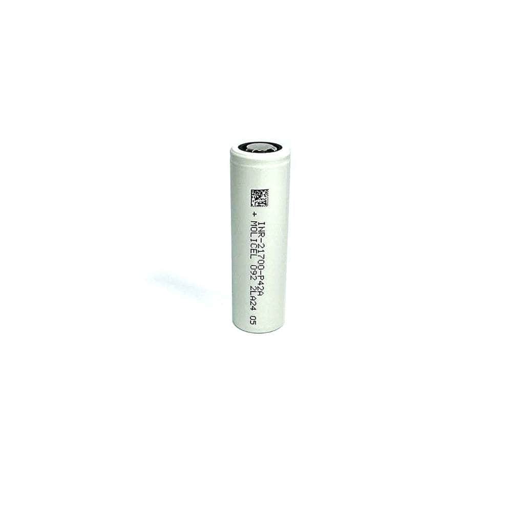 Lot de 2 batteries lithium-ion Molicel P42A 4200 mAh 21700