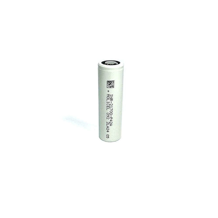 Lot de 2 batteries lithium-ion Molicel P42A 4200 mAh 21700