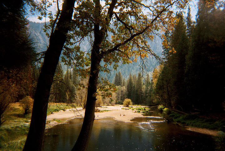 Moment 35mm Film Camera