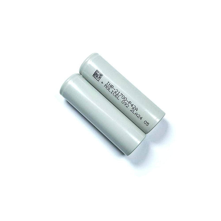 Lot de 2 batteries lithium-ion Molicel P42A 4200 mAh 21700
