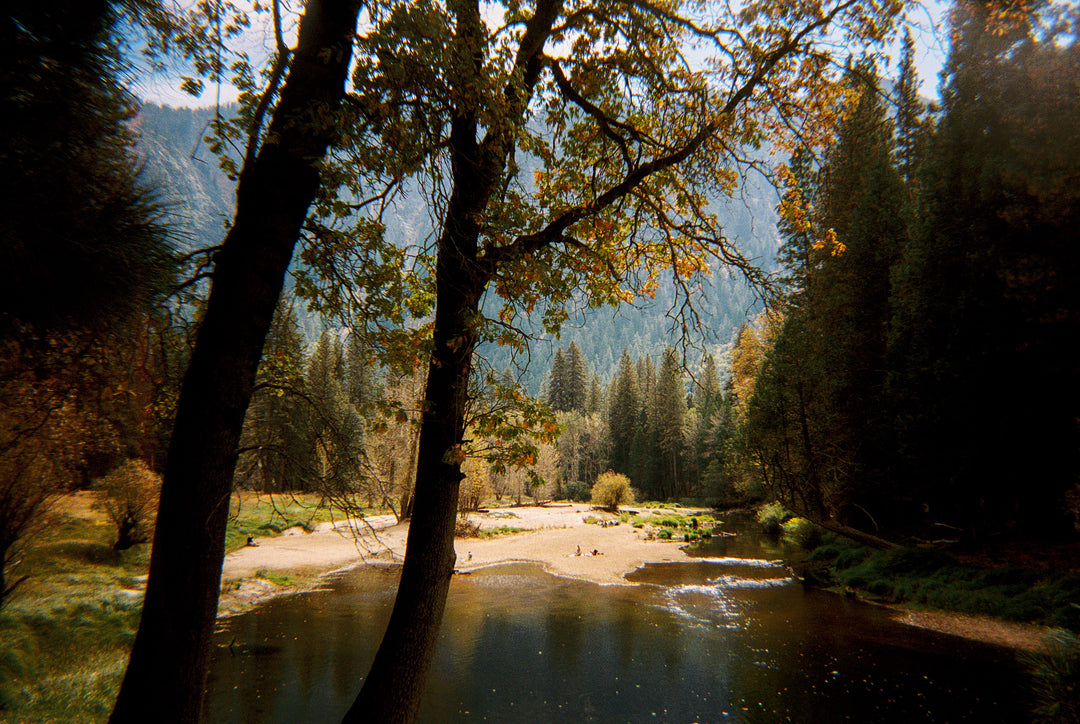 Moment 35mm Film Camera
